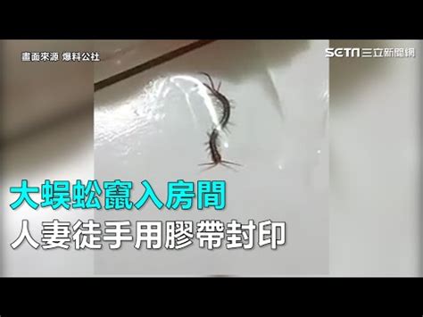 房間出現蜈蚣代表